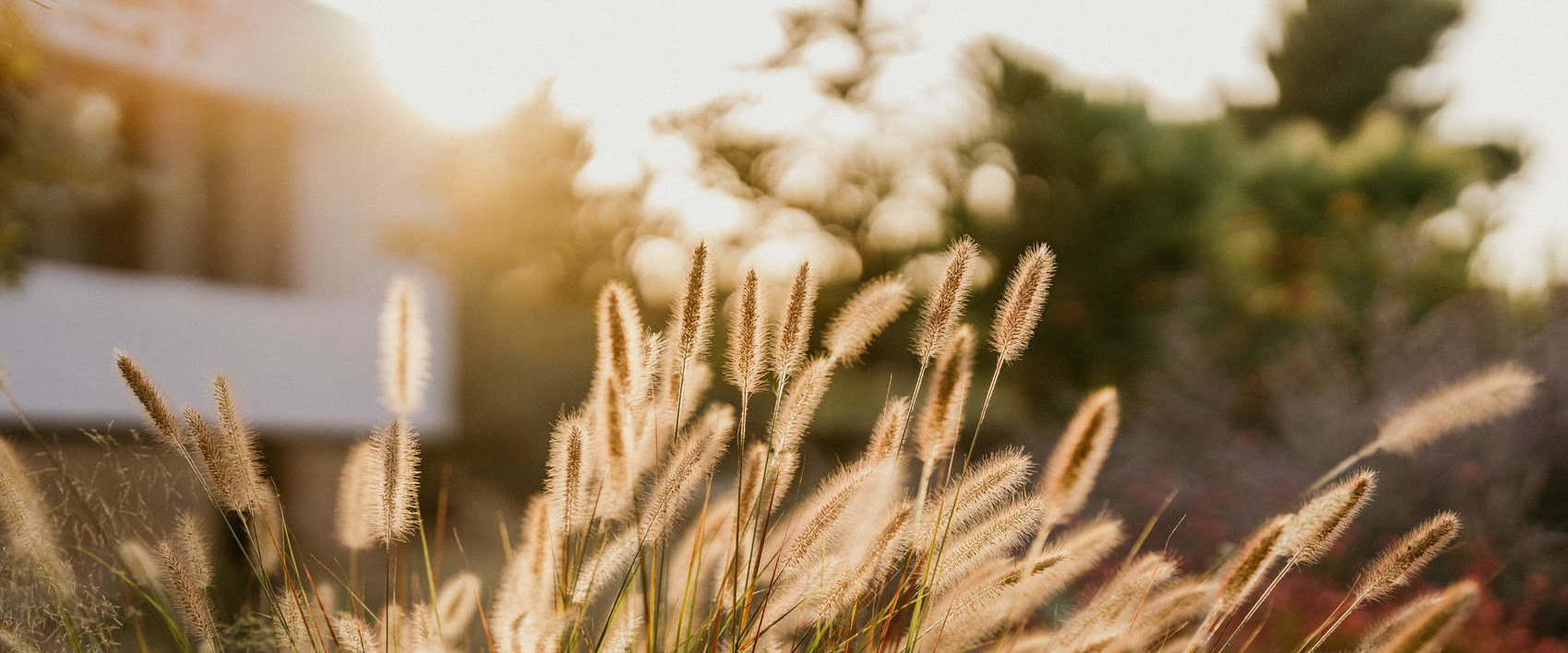 Amantes Villas Suites Experience